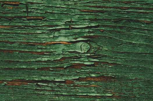 Abstract wood texture with peeling paint. green wooden backdrop. shabby painted wood background