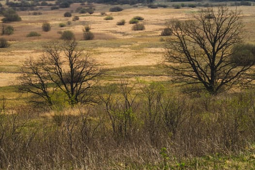 Nature panoramic landscape view from high. field with plants and trees nature background. view into the distance