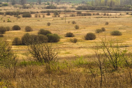 Nature panoramic landscape view from high. field with plants and trees nature background. view into the distance