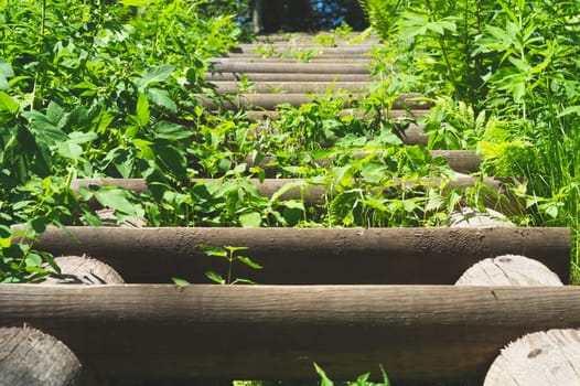 Wooden staircase in dense foliage. overgrown ladder made of wood. beautiful landscape in the park. path to the top of the hill
