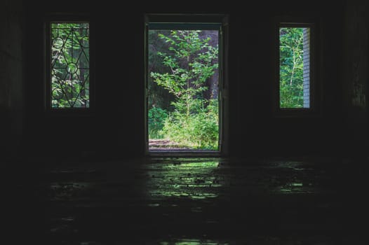 View from the inside to the outside through the door and windows in an abandoned house. destroyed building