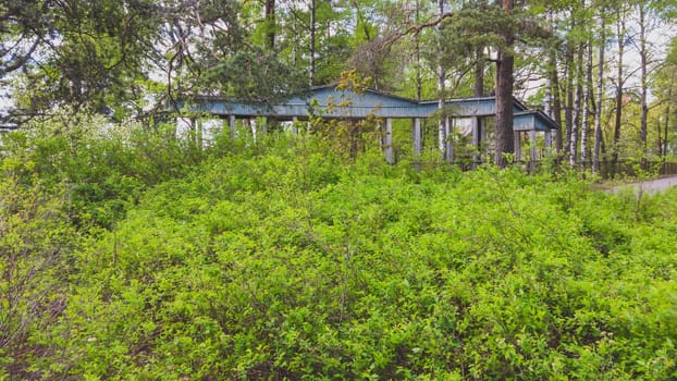 Wooden building among lush foliage. green plants and trees