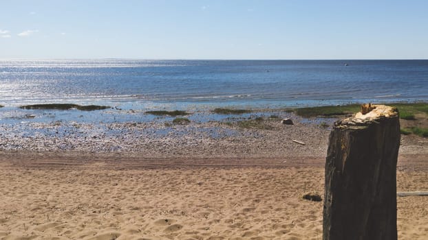 Shore of the sea. seascape with horizon line. silt coast. water surface