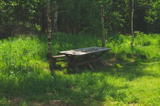 Wooden table in the park. summer day. green foliage on the background