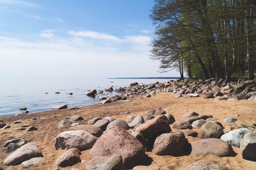 Beach with stones on the sandy shore. trees on the coastline. summer landscape