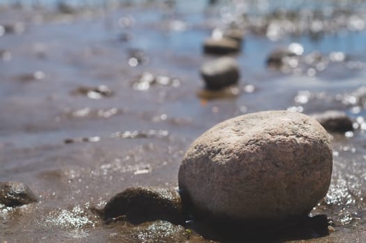 Stone on the wet sand close up. pebble on the seashore macro