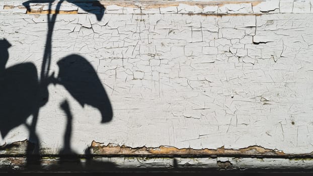 Shadow of the plant. cracked paint on a wooden surface