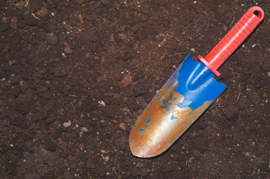Garden shovel. old soil from flower pot. house plant transplanting process