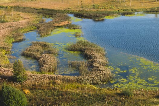 Lake in the valley aerial view. nature landscape