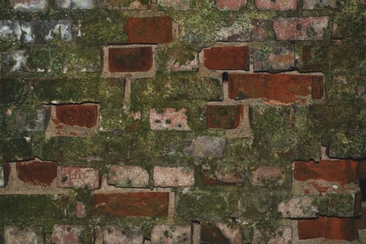 Old brick wall with moss close up. grunge background