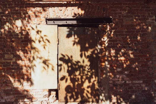 Shadows of plants on the old brick wall on the sunny day. rusted iron door in the middle