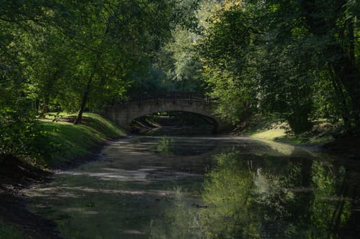 Bridge in the forest. nature landscape with small river