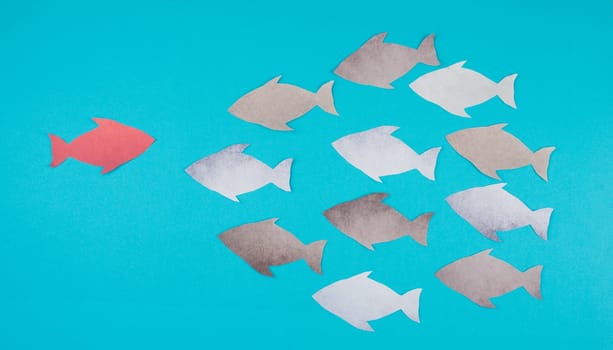 One red fish is swimming against the stream, opposite direction of the other fishes, being different