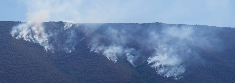 panoramic landscape of natural disaster wildfire burning the forest on a mountain with smoke rising up to the sky in day time