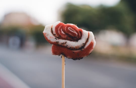 front view closeup of many ants eating from a red and white lollipop on a stick