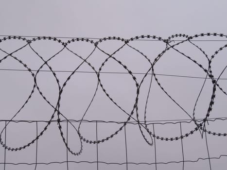 dangerous barbed wire protection security reserve cut