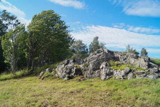 Strong wind in nature landscape. wind bends tree. sunny landscape with blue sky in windy day. stones and plants