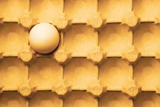 Egg in carton box background. food ingredient. protein nutrition. healthy breakfast. poultry egg