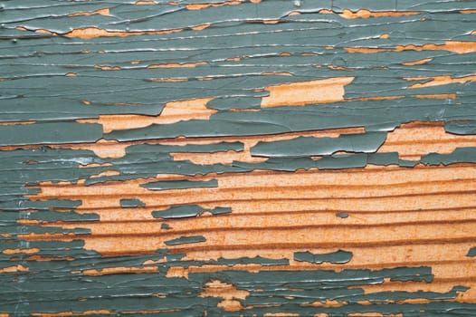 Rough wood texture with peeling paint. old wooden texture with cracked paint close up