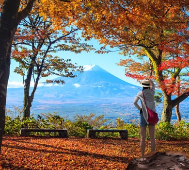 The Mountain Fuji and maple tree in Japan