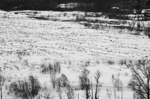 Winter landscape with snow covered field and trees