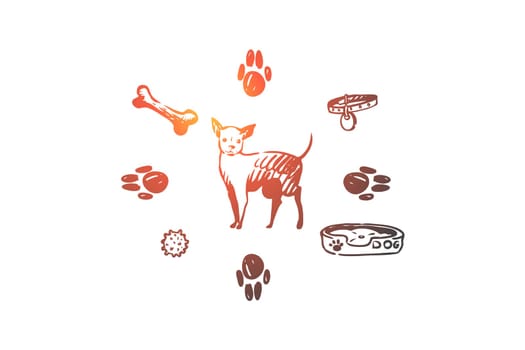 Dog, pet, animal, accessories, care concept. Hand drawn puppy and care supplies concept sketch. Isolated vector illustration.