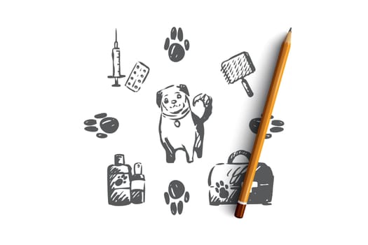 Dog, pet, animal, accessories, care concept. Hand drawn puppy and care supplies concept sketch. Isolated vector illustration.