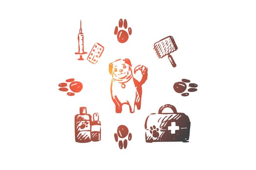 Dog, pet, animal, accessories, care concept. Hand drawn puppy and care supplies concept sketch. Isolated vector illustration.
