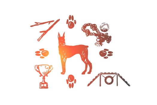 Dog, pet, animal, accessories, care concept. Hand drawn puppy and care supplies concept sketch. Isolated vector illustration.