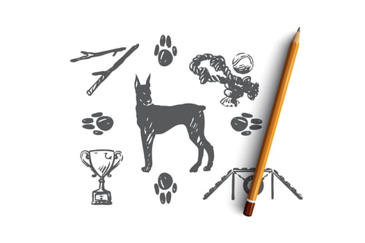 Dog, pet, animal, accessories, care concept. Hand drawn puppy and care supplies concept sketch. Isolated vector illustration.