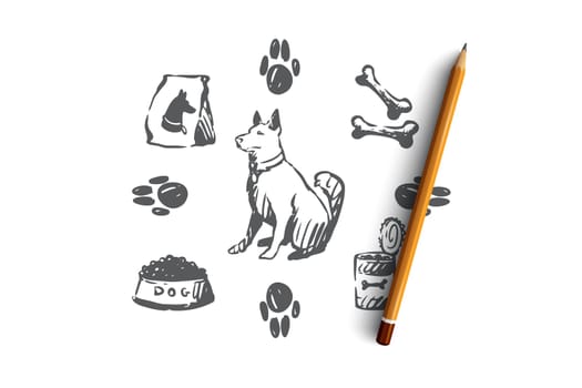 Dog, pet, animal, accessories, care concept. Hand drawn puppy and care supplies concept sketch. Isolated vector illustration.