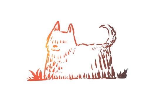 Dog, walking, outdoor, pet, domestic concept. Hand drawn home dog walking concept sketch. Isolated vector illustration.