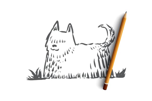 Dog, walking, outdoor, pet, domestic concept. Hand drawn home dog walking concept sketch. Isolated vector illustration.