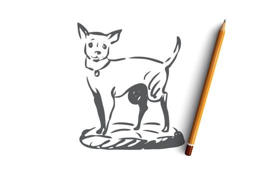 Dog, walking, outdoor, pet, domestic concept. Hand drawn home dog walking concept sketch. Isolated vector illustration.