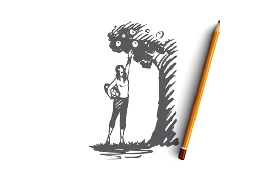 Harvesting, woman, apple, tree, garden concept. Hand drawn woman harvesting apple concept sketch. Isolated vector illustration.