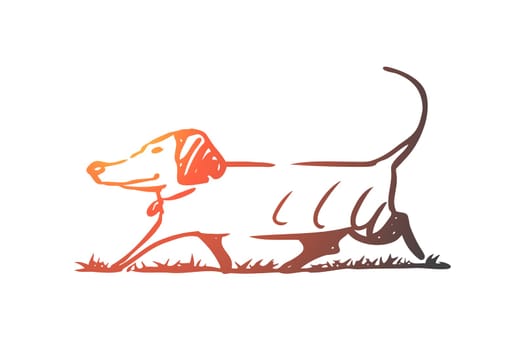 Dog, walking, outdoor, pet, domestic concept. Hand drawn home dog walking concept sketch. Isolated vector illustration.