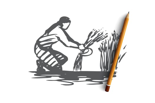 Woman, harvest, wheat, field concept. Hand drawn woman harvesting wheat on field concept sketch. Isolated vector illustration.