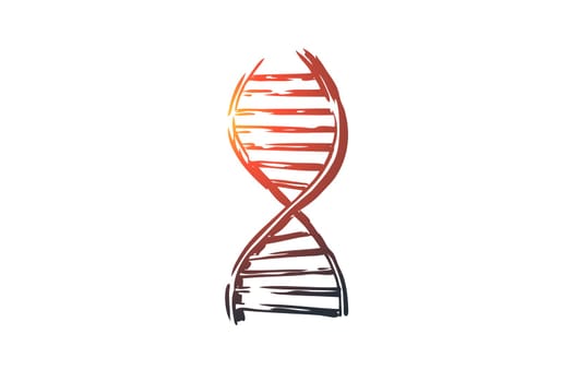 DNA, medicine, genetic, biology, science concept. Hand drawn symbol of DNA gene concept sketch. Isolated vector illustration.