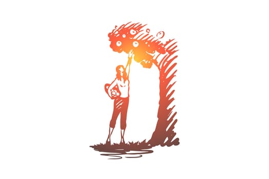 Harvesting, woman, apple, tree, garden concept. Hand drawn woman harvesting apple concept sketch. Isolated vector illustration.