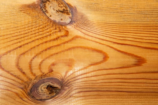 Old wood texture. wooden background