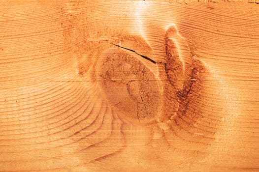 Old wood texture. wooden background