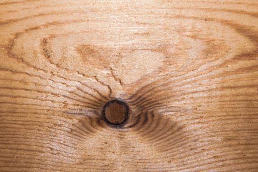 Old wood texture. wooden background