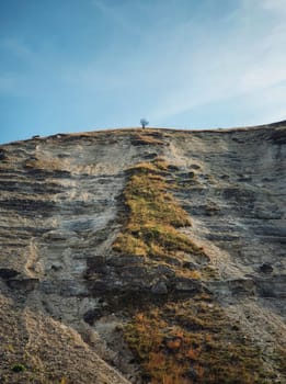 Idyllic countryside view to a bare and lone tree on the top of the karst limestone hills at Orheiul Vechi, old Orhei complex, near Trebujeni village, Moldova. Autumn season natural landscape.