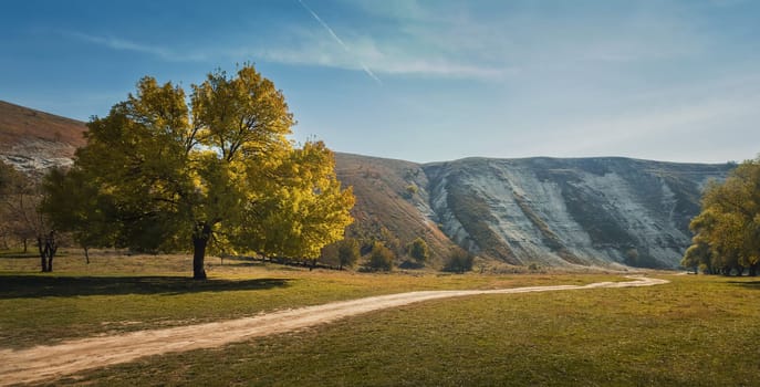 Idyllic countryside scene with a beautiful tree near a footpath and karst limestone hills on the background. Autumn season nature landscape at old Orhei complex, near Trebujeni village, Moldova.
