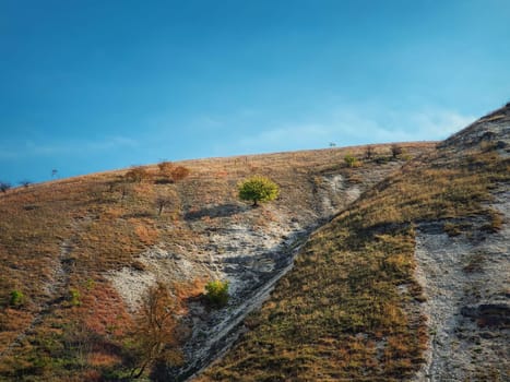 Idyllic countryside view to a single tree on the karst limestone hills at Orheiul Vechi, old Orhei complex, near Trebujeni village, Moldova. Autumn season nature landscape.