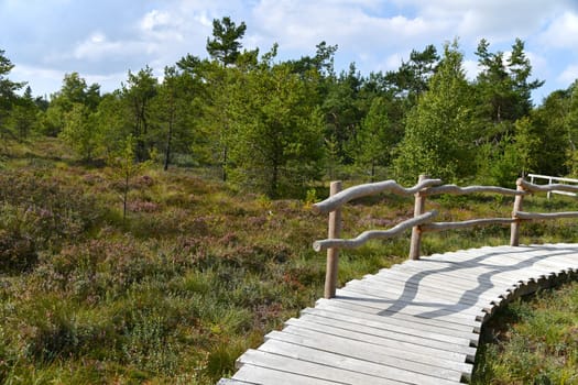 Black moor in the Rhön
