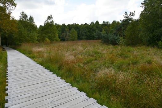 Black moor in the Rhön