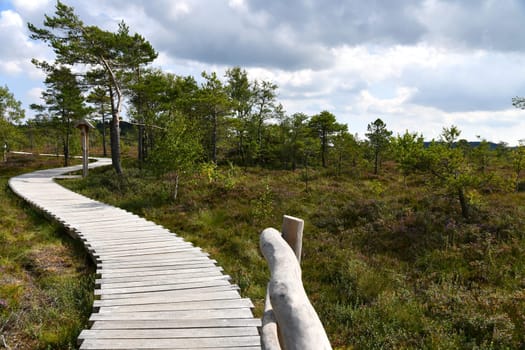Black moor in the Rhön