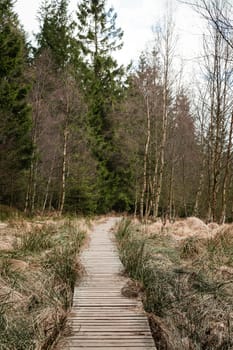 The High Fens, Hoge Venen, Belgium, Signal Van Botrange