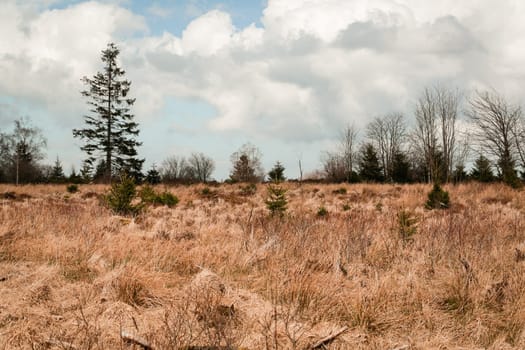 The High Fens, Hoge Venen, Belgium, Signal Van Botrange